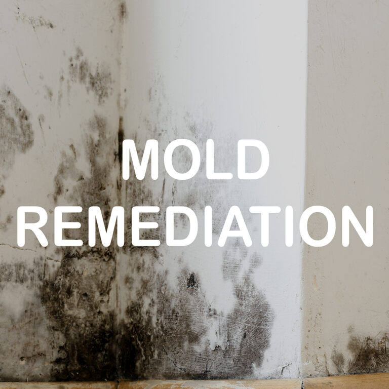 MOLD